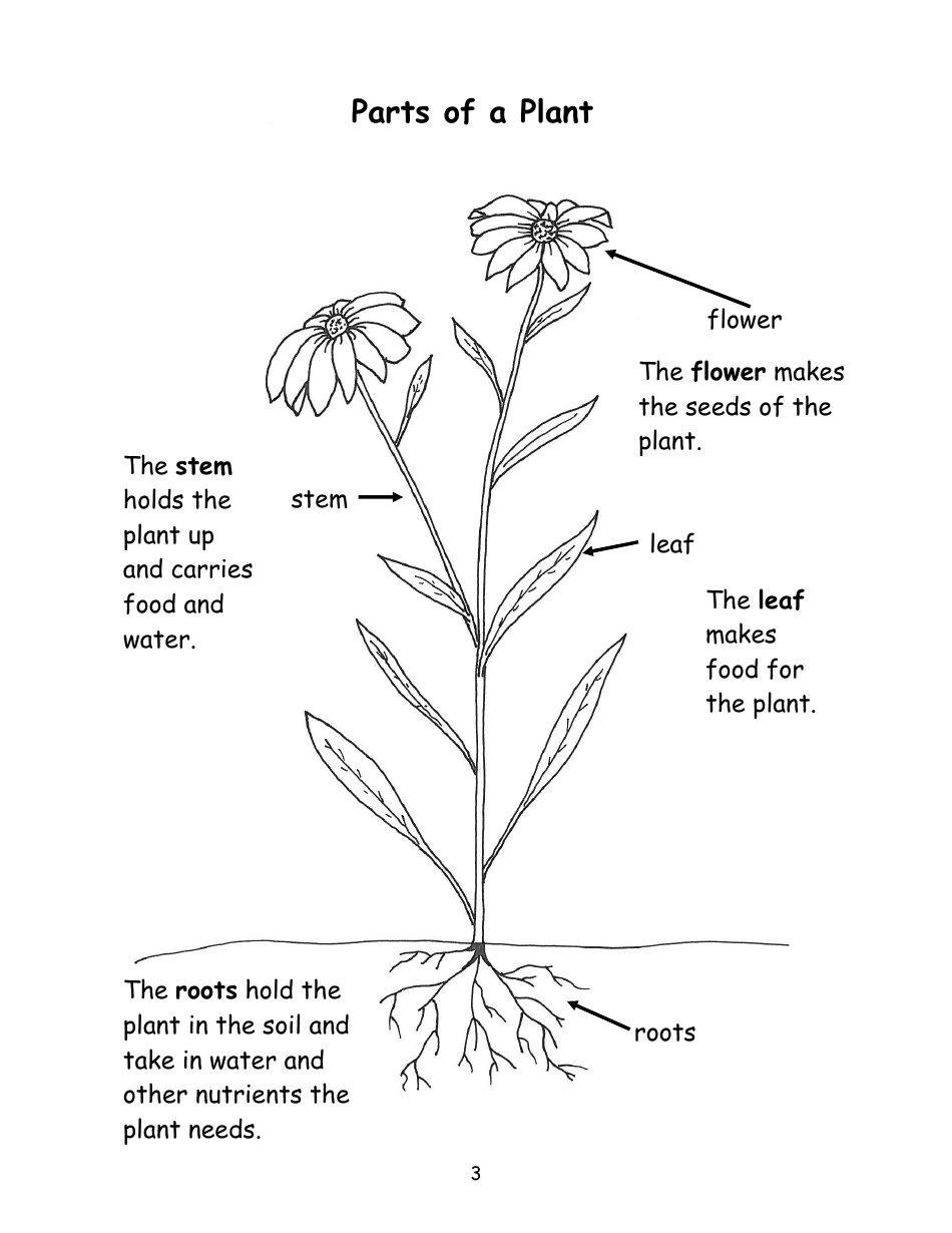 Nevada Weed Busters Coloring Book - University of Nevada - Nevada, Page 4