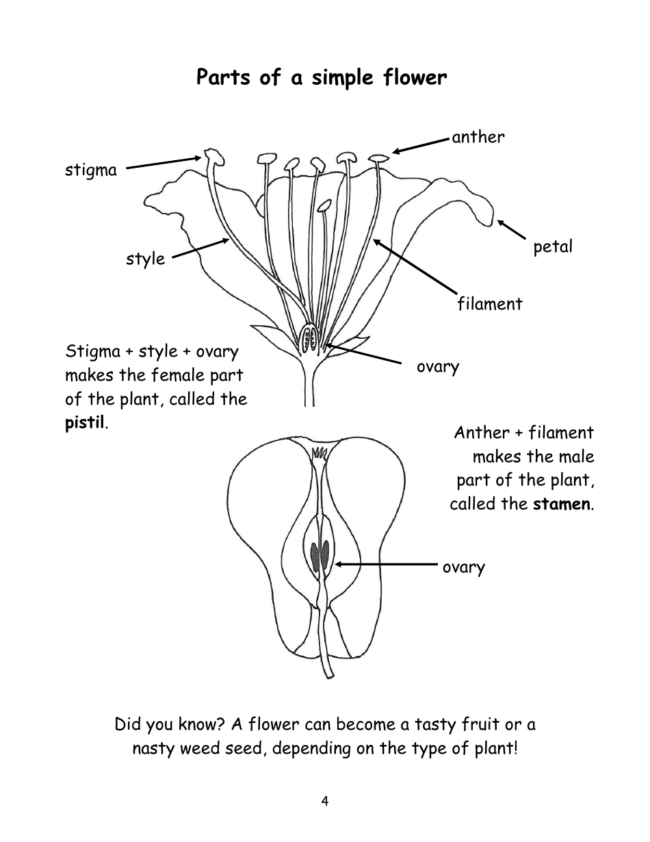 Nevada Weed Busters Coloring Book - University of Nevada - Nevada, Page 5