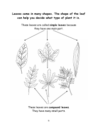 Nevada Weed Busters Coloring Book - University of Nevada - Nevada, Page 6