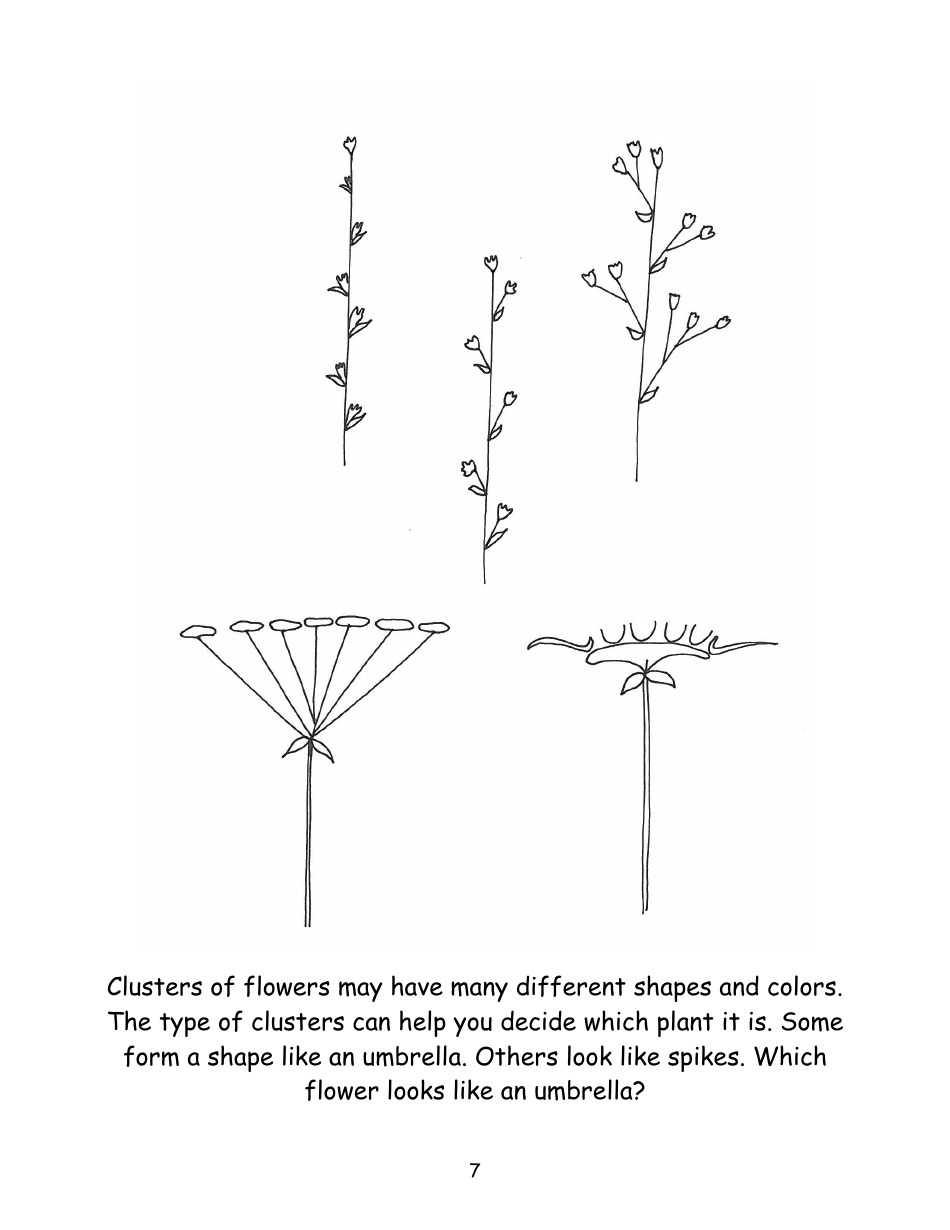 Nevada Weed Busters Coloring Book - University of Nevada - Nevada, Page 8