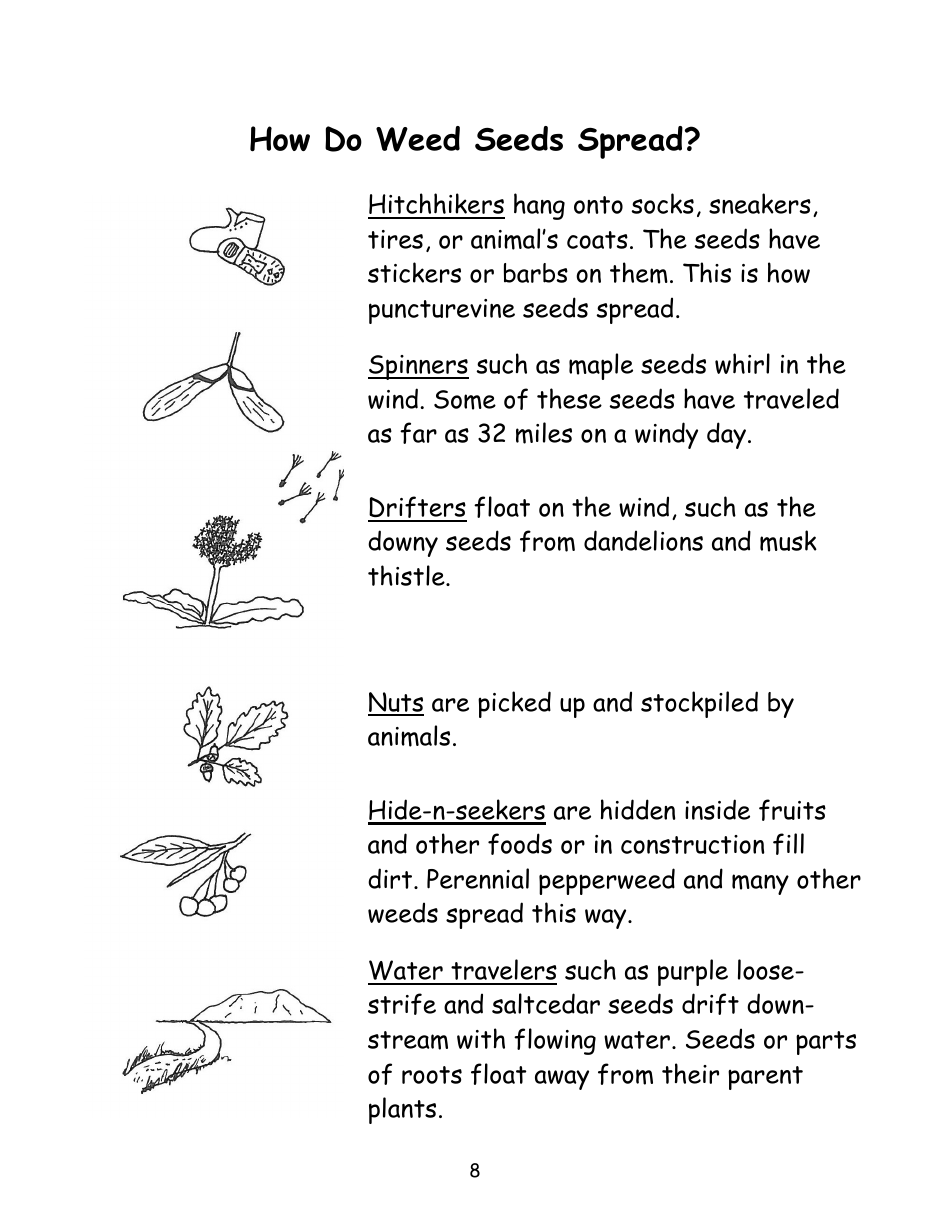 Nevada Weed Busters Coloring Book - University of Nevada - Nevada, Page 9