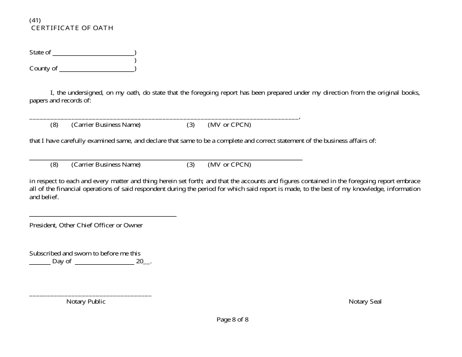 Annual Financial Report Form - Nevada, Page 13
