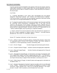 Annual Financial Report Form - Nevada, Page 2