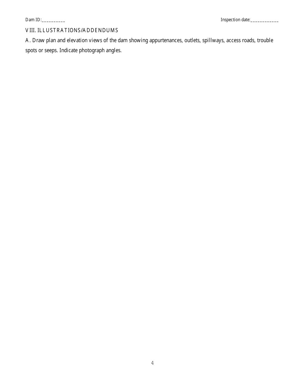 Dam Safety Inspection Observations - Nevada, Page 4