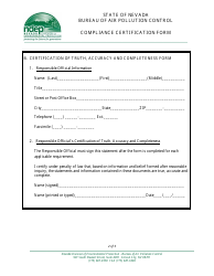 Class I Annual Compliance Certification Form - Nevada, Page 2