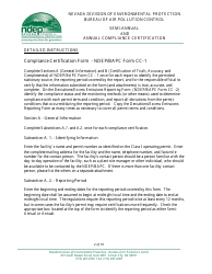 Instructions for Compliance Certification Form - Nevada, Page 2