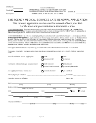 Document preview: Emergency Medical Services Late Renewal Application Form - Nevada