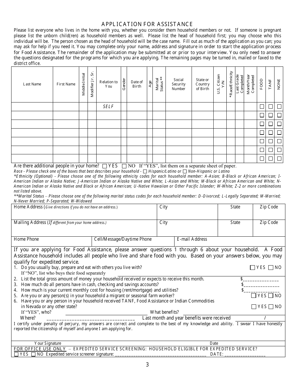 Form 2905-EG Application for Assistance - Nevada, Page 3