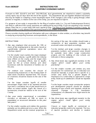 Instructions for Form 4408LGF Quarterly Economic Survey - Nevada