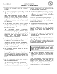 Instructions for Form 4408LGF Quarterly Economic Survey - Nevada, Page 2