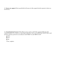 Docketing Statement Form - Criminal Appeals - Nevada, Page 5