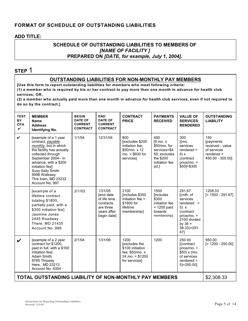 Instructions for Reporting Outstanding Liabilities and Instructions for the Report by a Certified Public Accountant - Maryland, Page 5