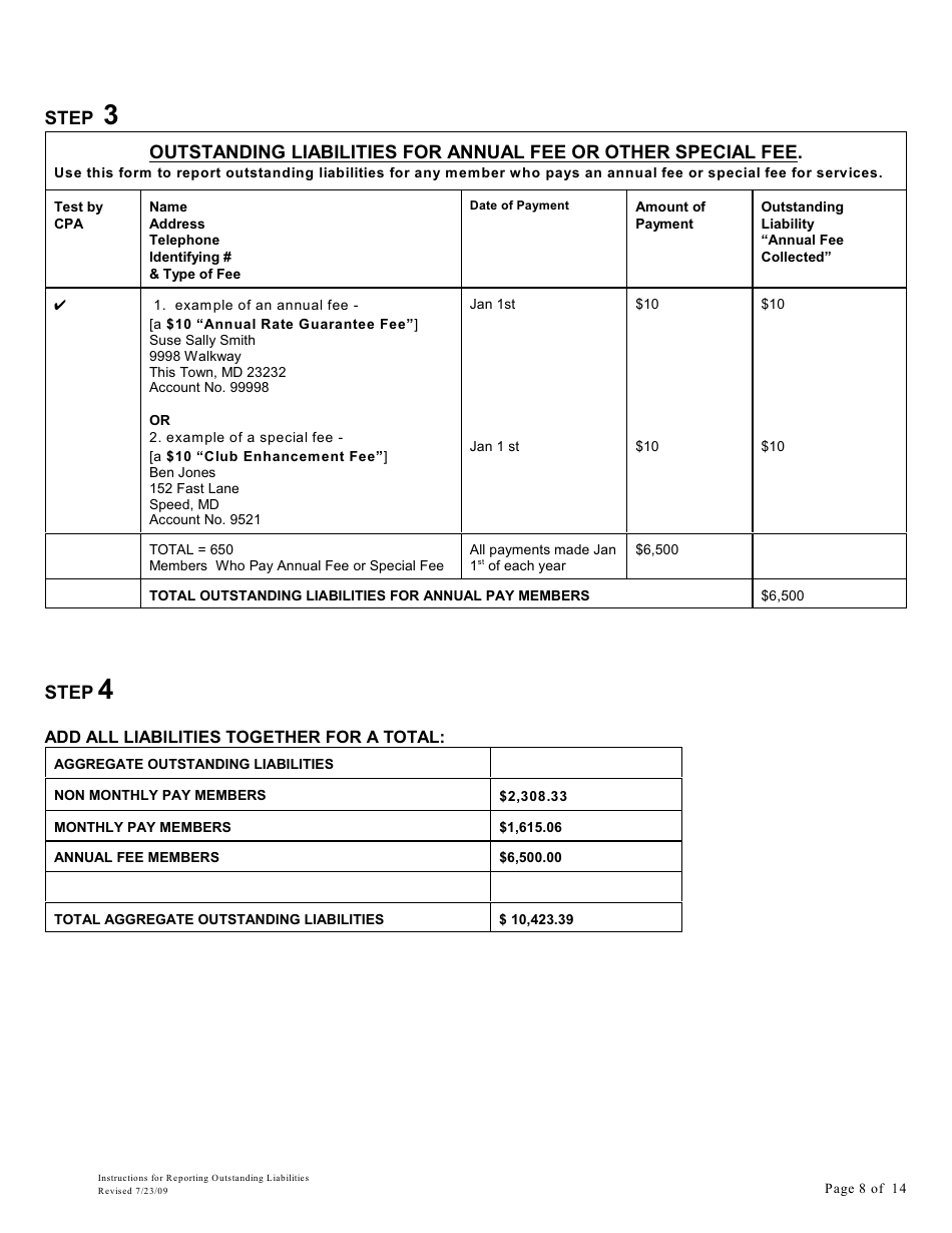 Instructions for Reporting Outstanding Liabilities and Instructions for the Report by a Certified Public Accountant - Maryland, Page 8