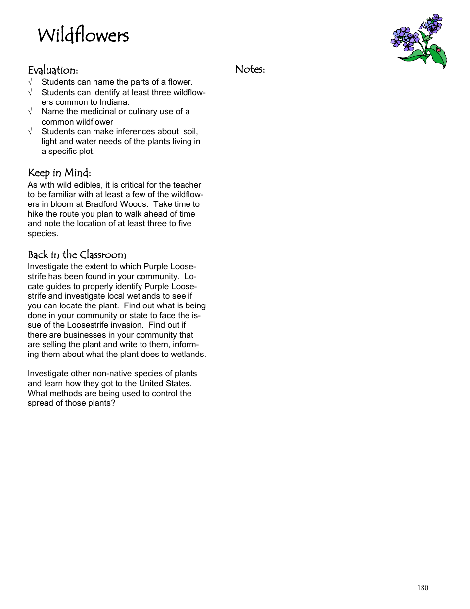 Wildflowers Lesson Plan (Wildflower Bingo, Drawing a Flower, Flower Identification, Plant Needs Relay, Plot Survey), Page 4