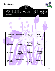 Wildflowers Lesson Plan (Wildflower Bingo, Drawing a Flower, Flower Identification, Plant Needs Relay, Plot Survey), Page 6