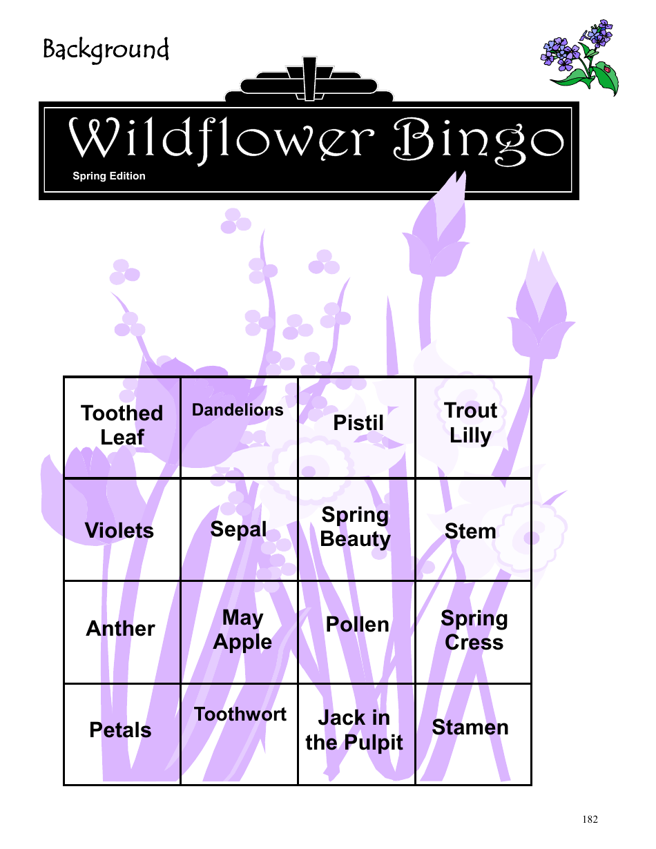 Wildflowers Lesson Plan (Wildflower Bingo, Drawing a Flower, Flower Identification, Plant Needs Relay, Plot Survey), Page 6