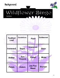 Wildflowers Lesson Plan (Wildflower Bingo, Drawing a Flower, Flower Identification, Plant Needs Relay, Plot Survey), Page 7