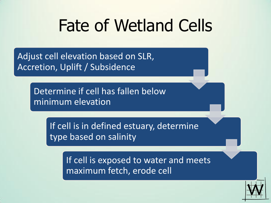Application of Sea Level Affecting Marshes Model (Slamm) to the Georgia Coastline - Jonathan S. Clough - Georgia (United States), Page 11