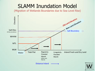 Application of Sea Level Affecting Marshes Model (Slamm) to the Georgia Coastline - Jonathan S. Clough - Georgia (United States), Page 8