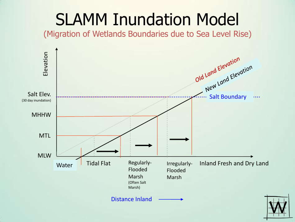 Application of Sea Level Affecting Marshes Model (Slamm) to the Georgia Coastline - Jonathan S. Clough - Georgia (United States), Page 8
