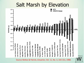 Application of Sea Level Affecting Marshes Model (Slamm) to the Georgia Coastline - Jonathan S. Clough - Georgia (United States), Page 9