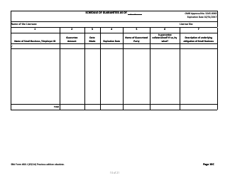 SBA Form 468.1 Corporate Annual Financial Report, Page 10