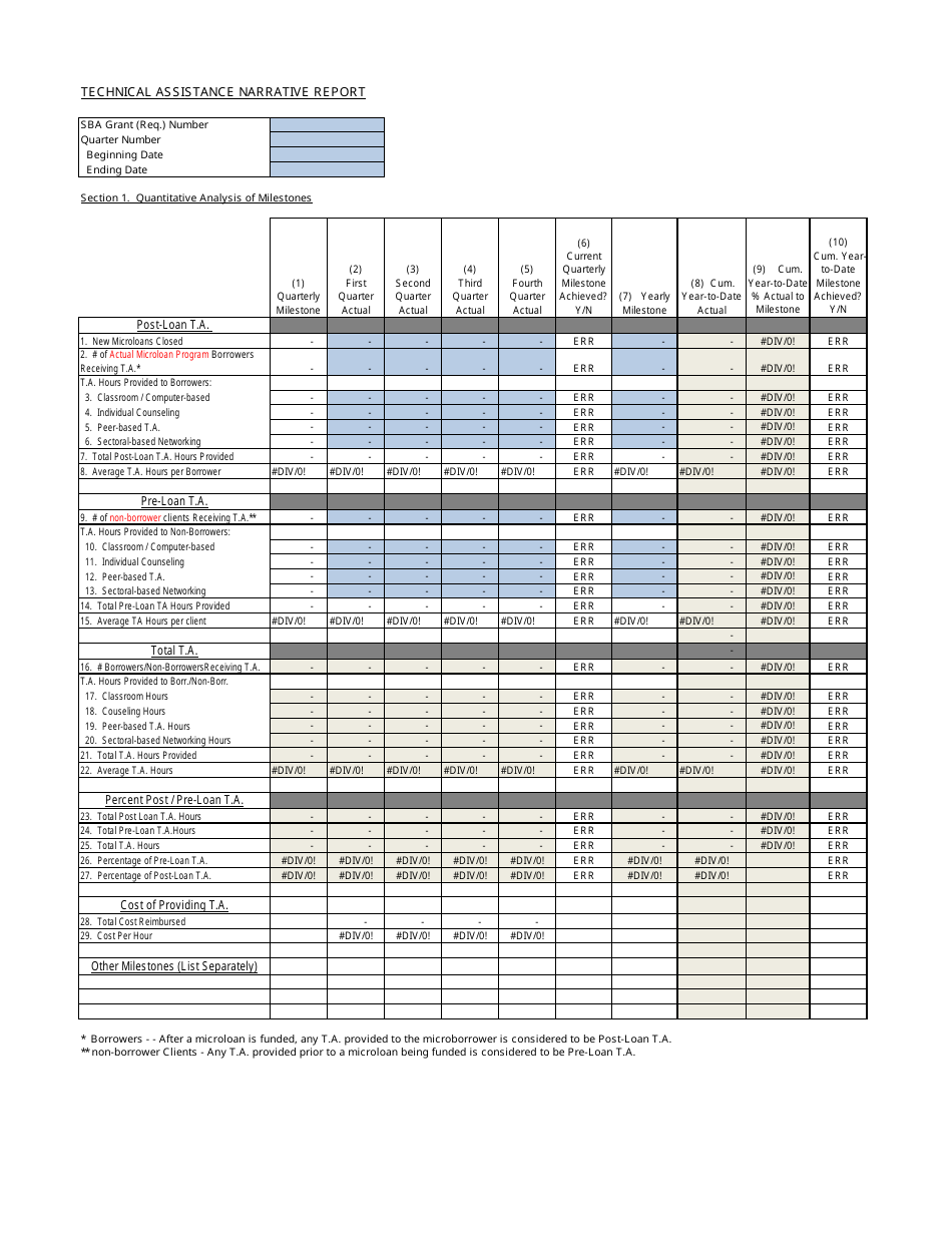 Template for Microloan Program Technical Assistance Narrative Report, Page 3