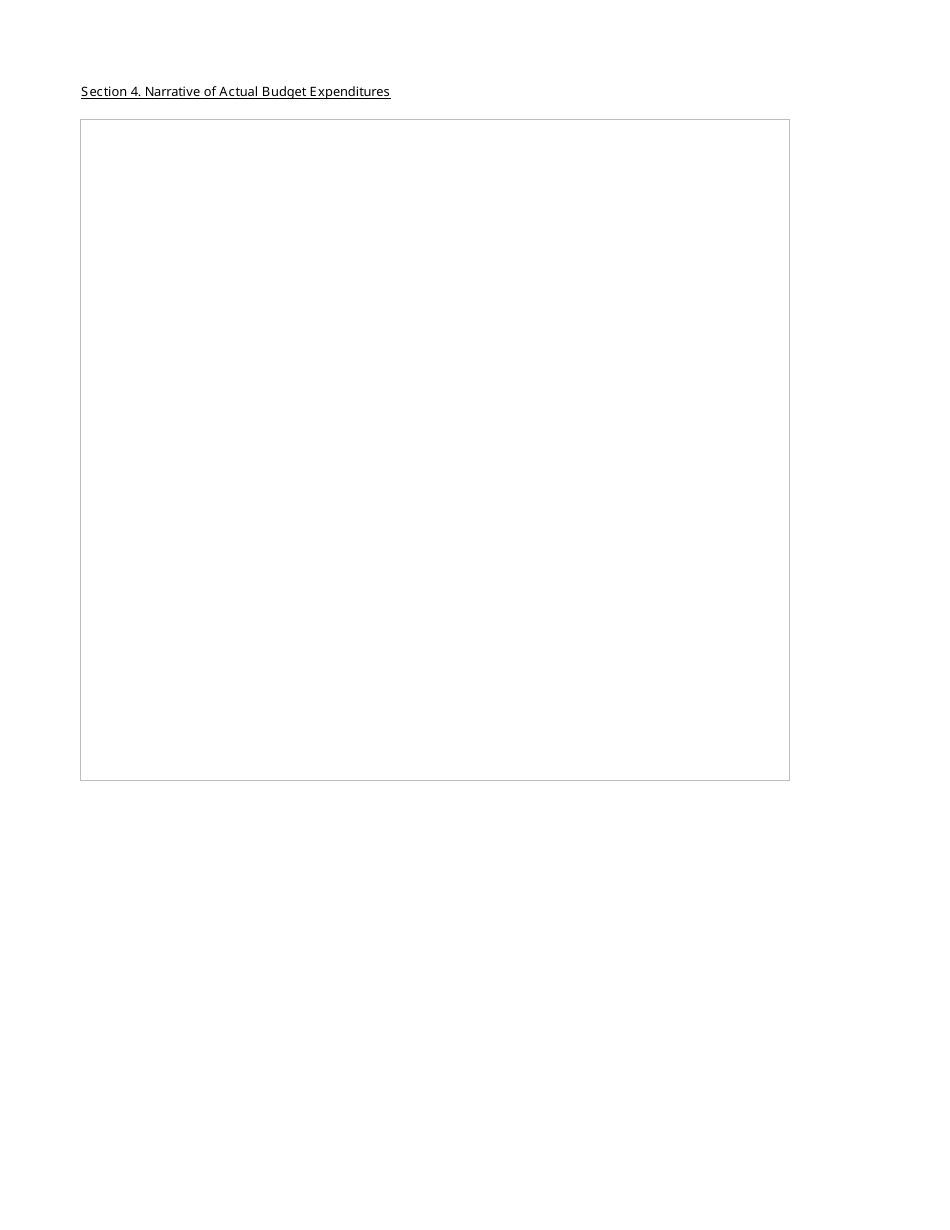 Template for Microloan Program Technical Assistance Narrative Report, Page 8