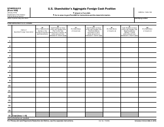 IRS Form 965 Schedule D U.S. Shareholder&#039;s Aggregate Foreign Cash Position