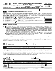 IRS Form 8453-E0 Exempt Organization Declaration and Signature for Electronic Filing