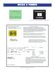 Form HSMV80003 Florida License Plates - Florida, Page 17