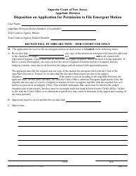 Form 10498 Application for Permission to File Emergent Motion - New Jersey, Page 7