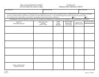 Form FS-40B Schedule B Consultant Services Costs and Justification - New Jersey