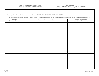 Form FS-40B Schedule B Consultant Services Costs and Justification - New Jersey, Page 2