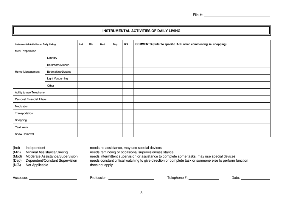 Long Term Care and Community Support Program Adult Needs Reassessment - Newfoundland and Labrador, Canada, Page 3