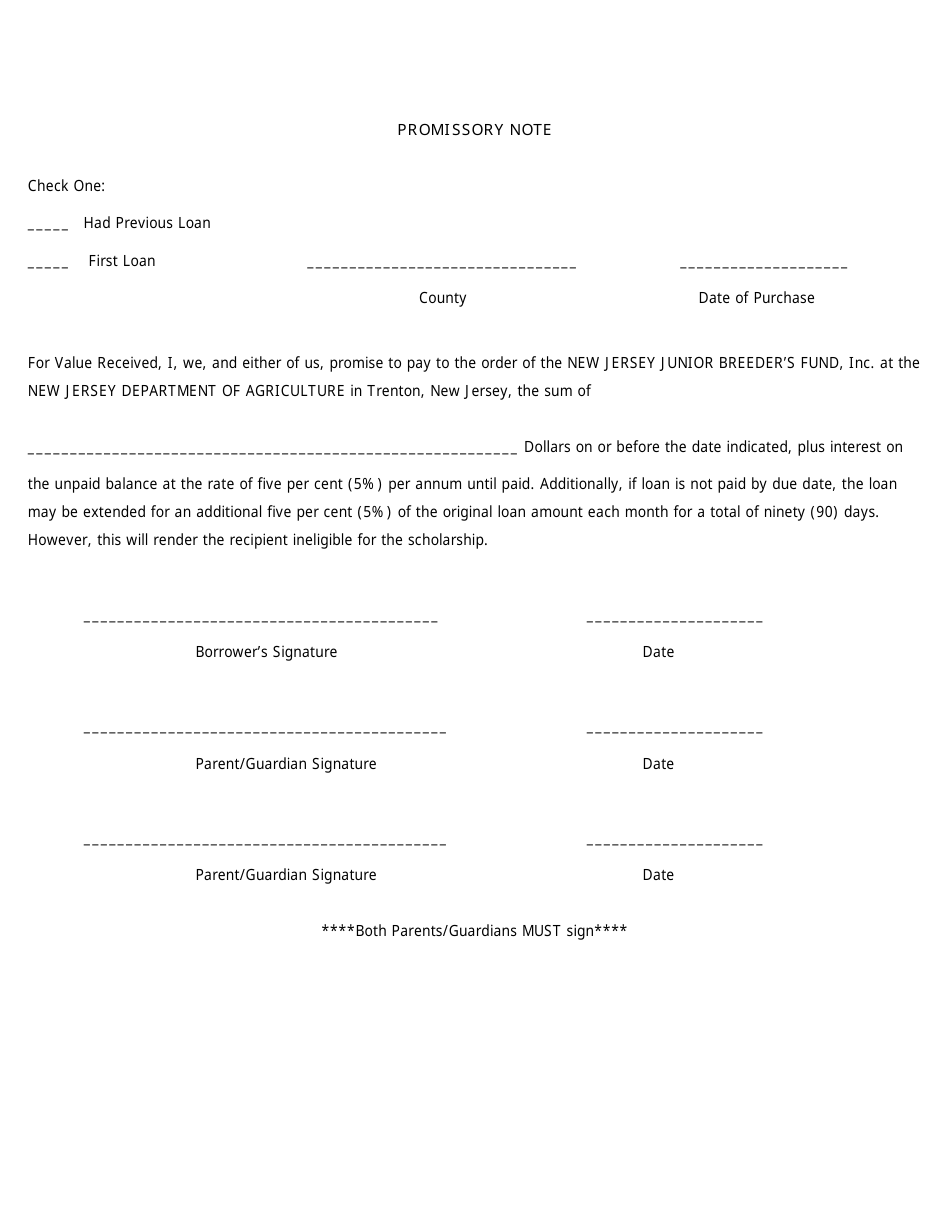 Promissory Note Template New Jersey
