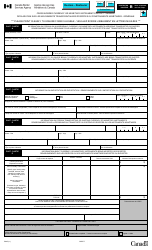 Form E667 Cross-border Currency or Monetary Instruments Report - General - Canada (English/French)