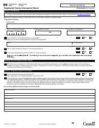 Form T3010 Registered Charity Information Return - Canada