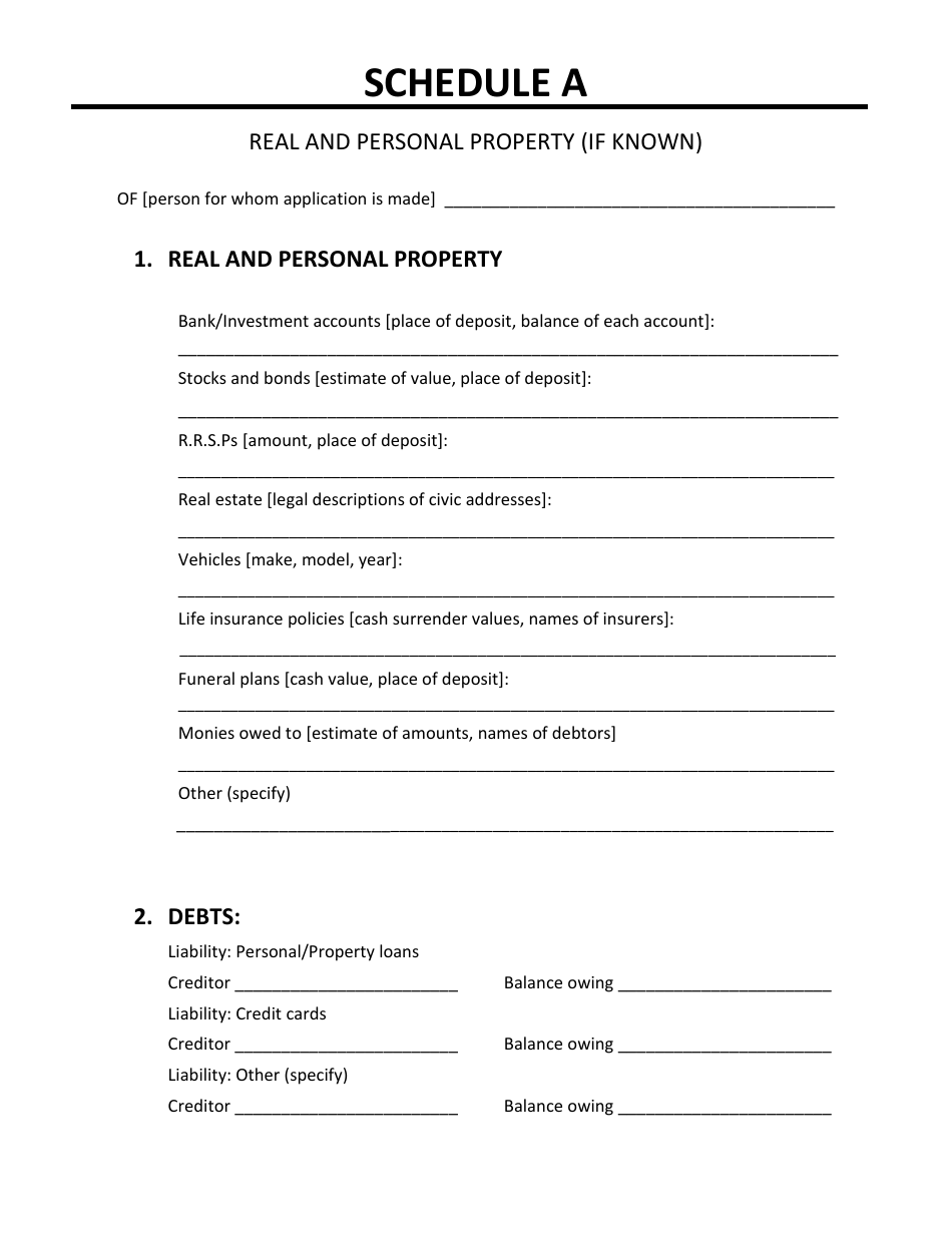 Application for the Appointment of a Substitute Decision Maker - Manitoba, Canada, Page 12
