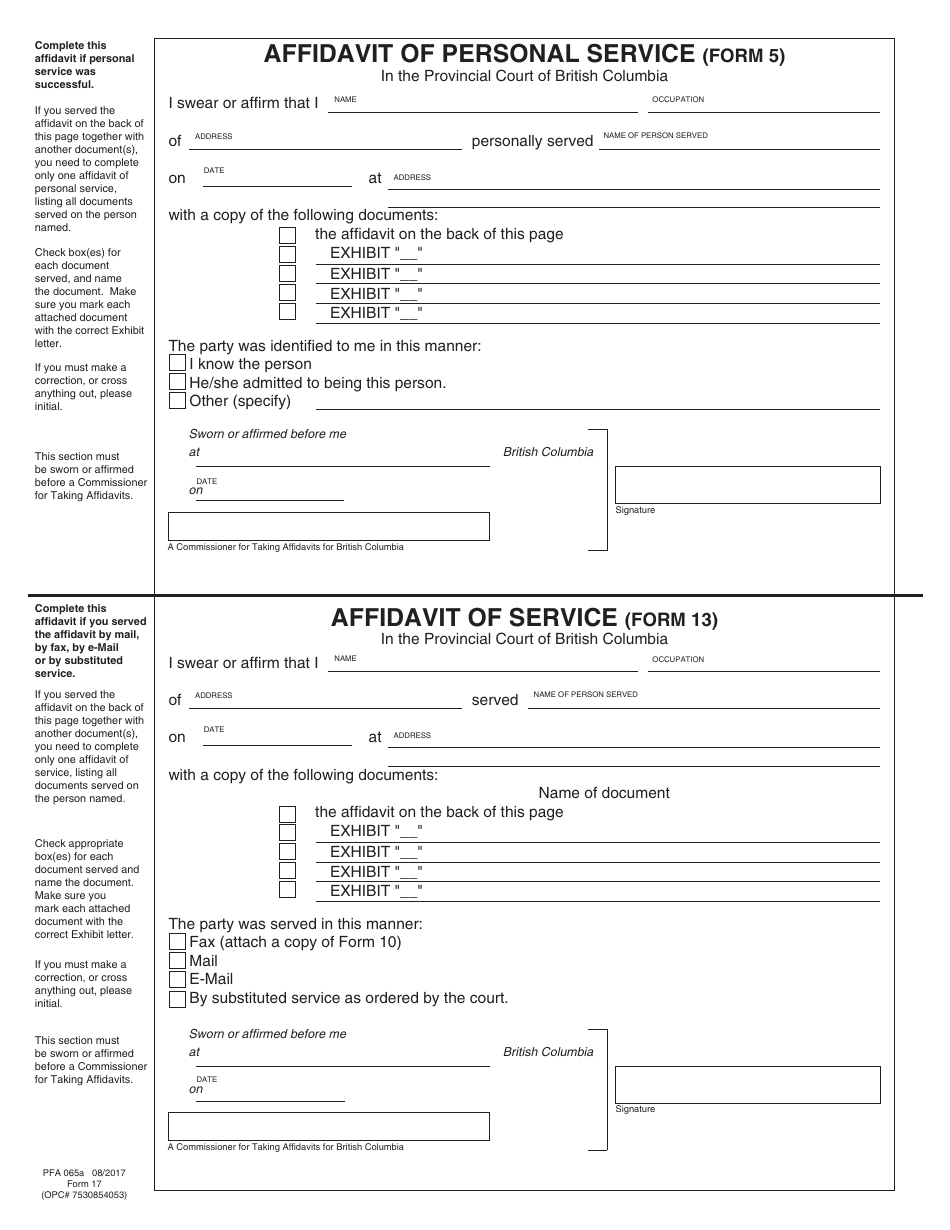 PCFR Form 17 (PFA065A) Affidavit - British Columbia, Canada, Page 7