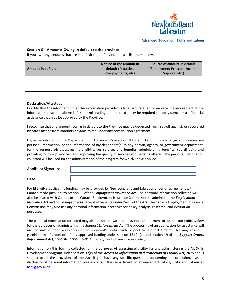 Financial Budget Worksheet - Newfoundland and Labrador, Canada, Page 3