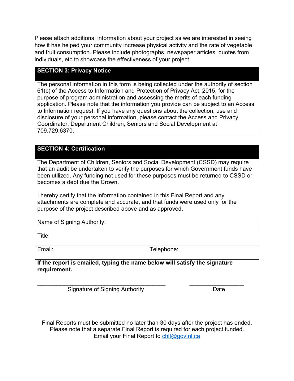 Community Healthy Living Fund Final Report Form - Newfoundland and Labrador, Canada, Page 3