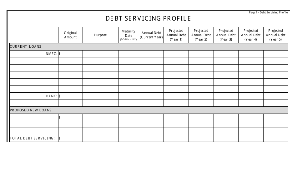 Financial Evaluation Form for Local Service Districts - Newfoundland and Labrador, Canada, Page 7
