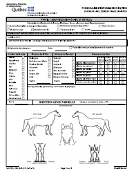 Forme FOR-EXT-0382 &quot;Formulaire D'information Equine (Chevaux, Ane, Zebres Et Race Croisees)&quot; - Quebec, Canada (French)