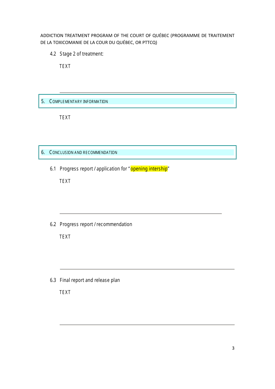 Court Report Submitted by a Certified Addiction Resource - Quebec, Canada, Page 3