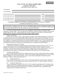Form NHJB-2209-DF Acknowledgment of Possible Consequences to Parental Rights in Abuse and Neglect Cases - New Hampshire