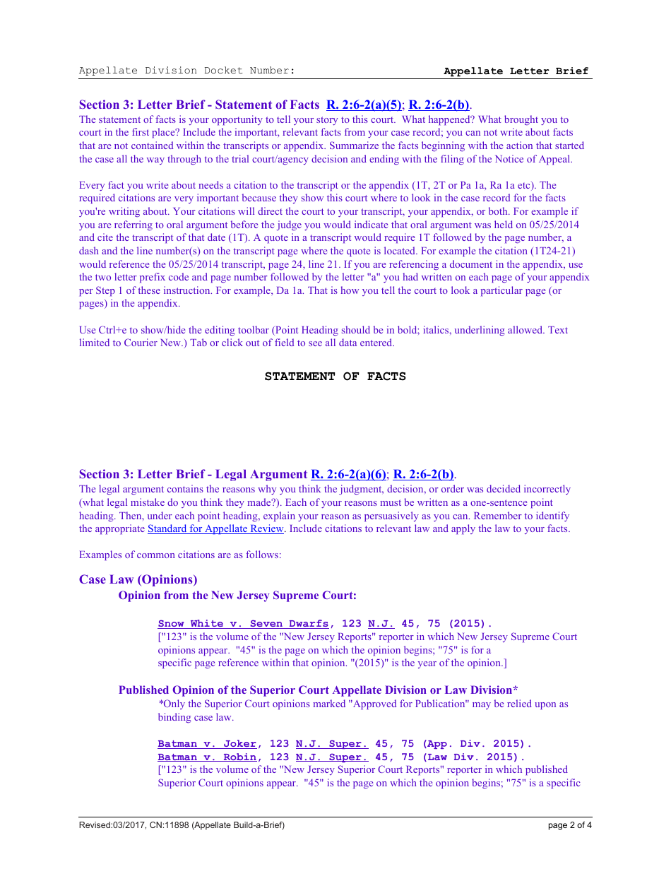 Form CN:11898 Appellate Build-A-brief: Letter Brief - New Jersey, Page 13