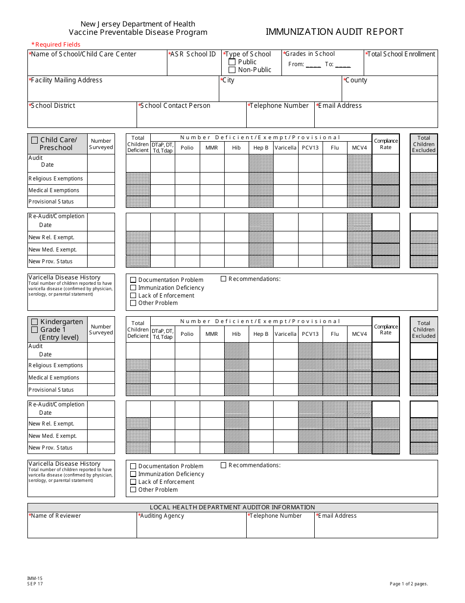 Form IMM-15 Immunization Audit Report - New Jersey, Page 1