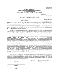 Document preview: Form O & G CBB Blanket Cash Plugging Bond - New Mexico
