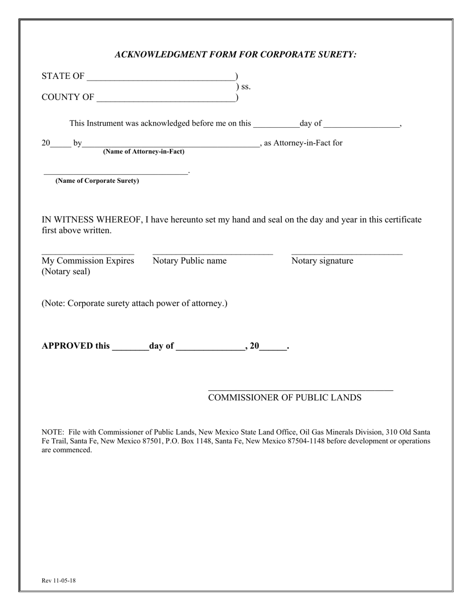 Megabond for Contract Performance and Surface or Improvement Damage - New Mexico, Page 4